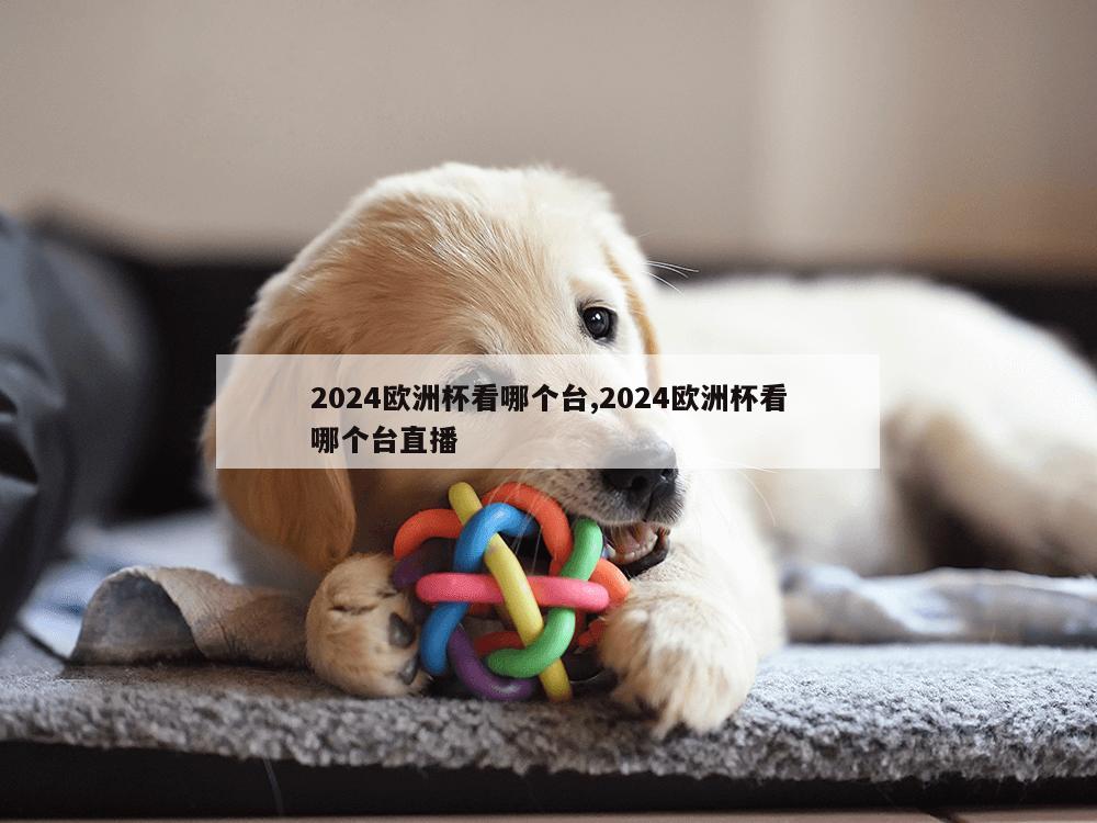 2024欧洲杯看哪个台,2024欧洲杯看哪个台直播