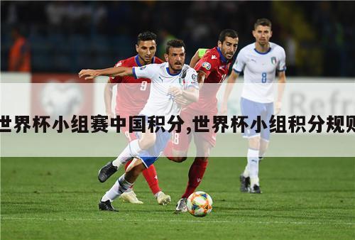 世界杯小组赛中国积分,世界杯小组积分规则