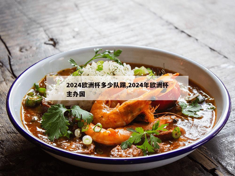 2024欧洲杯多少队踢,2024年欧洲杯主办国