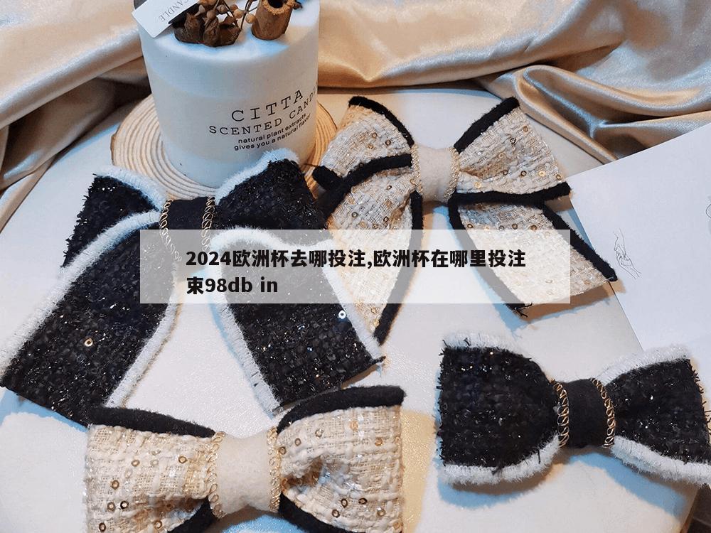 2024欧洲杯去哪投注,欧洲杯在哪里投注束98db in