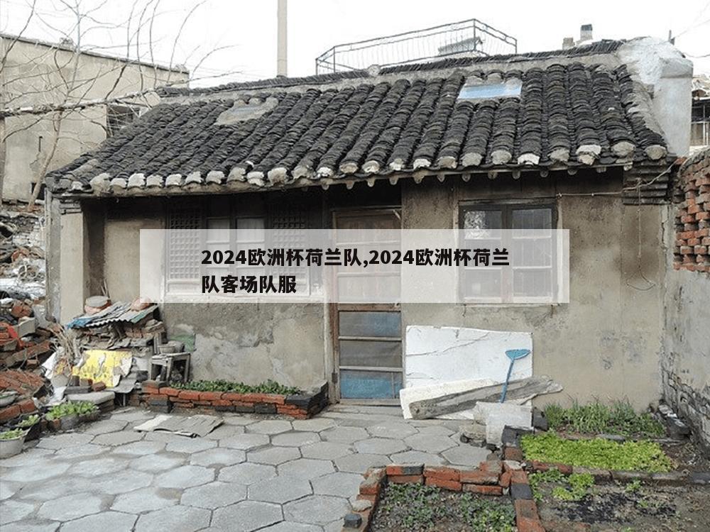 2024欧洲杯荷兰队,2024欧洲杯荷兰队客场队服