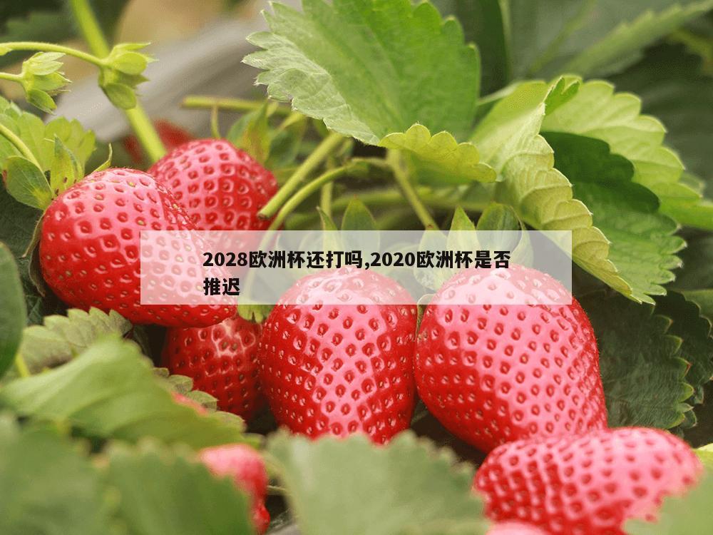 2028欧洲杯还打吗,2020欧洲杯是否推迟