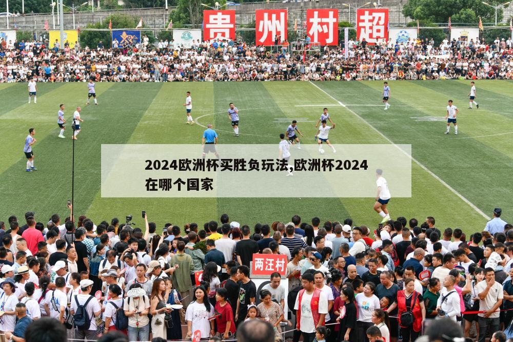 2024欧洲杯买胜负玩法,欧洲杯2024在哪个国家