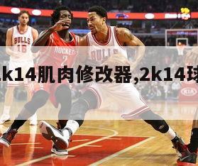 nba2k14肌肉修改器,2k14球员修改器