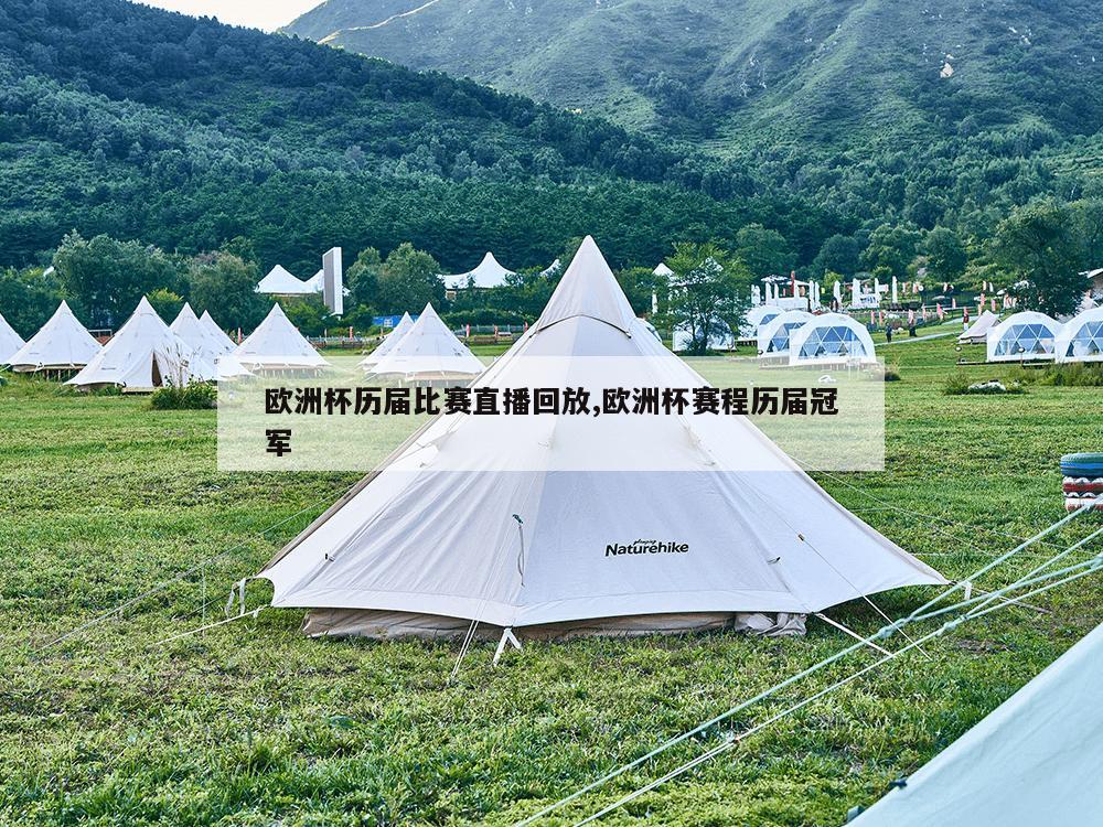 欧洲杯历届比赛直播回放,欧洲杯赛程历届冠军