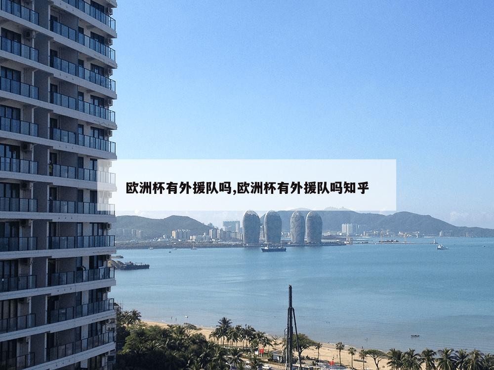 欧洲杯有外援队吗,欧洲杯有外援队吗知乎