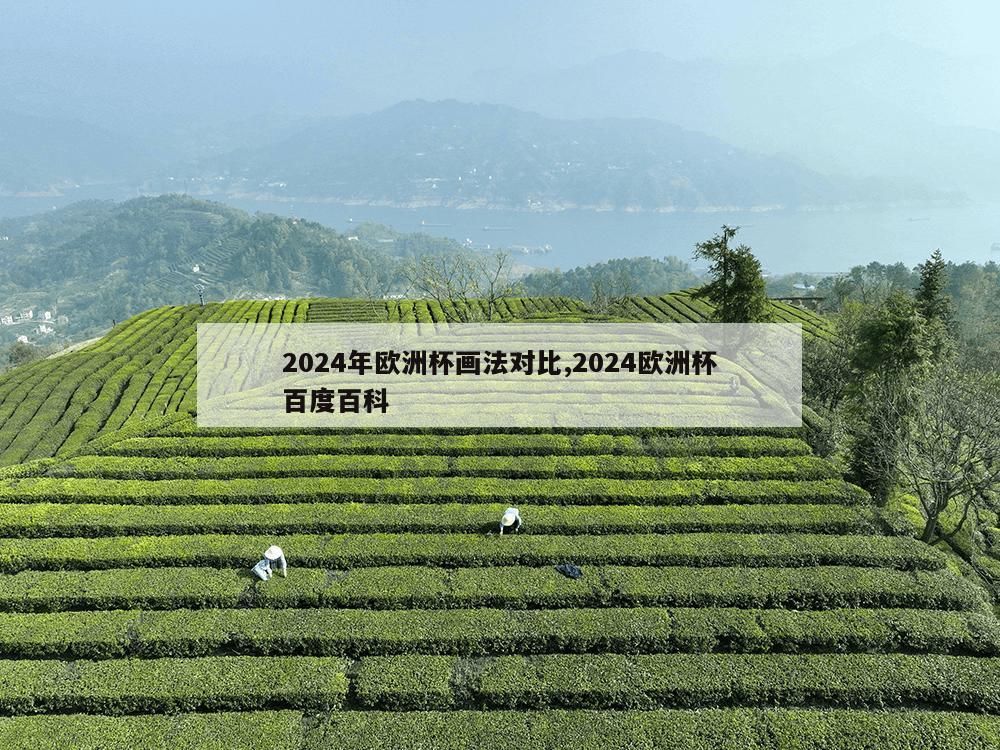 2024年欧洲杯画法对比,2024欧洲杯百度百科