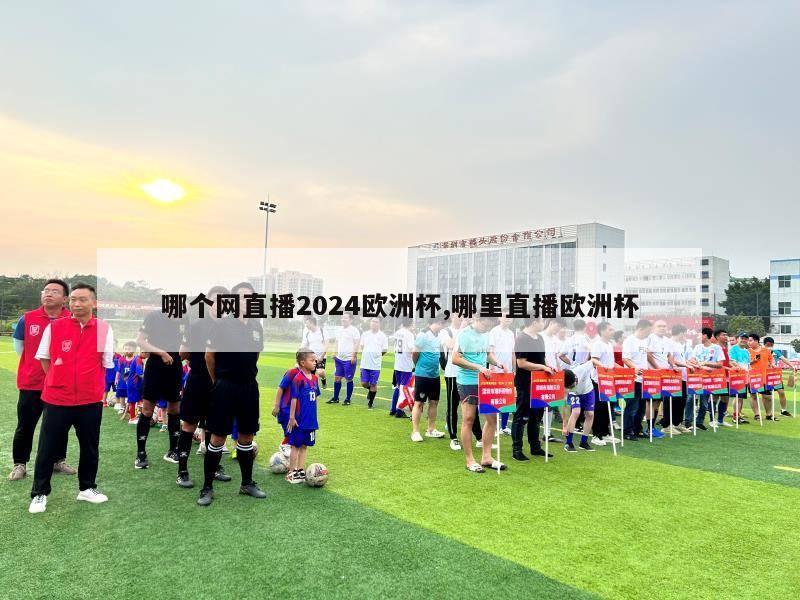 哪个网直播2024欧洲杯,哪里直播欧洲杯