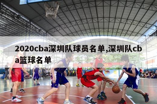 2020cba深圳队球员名单,深圳队cba篮球名单