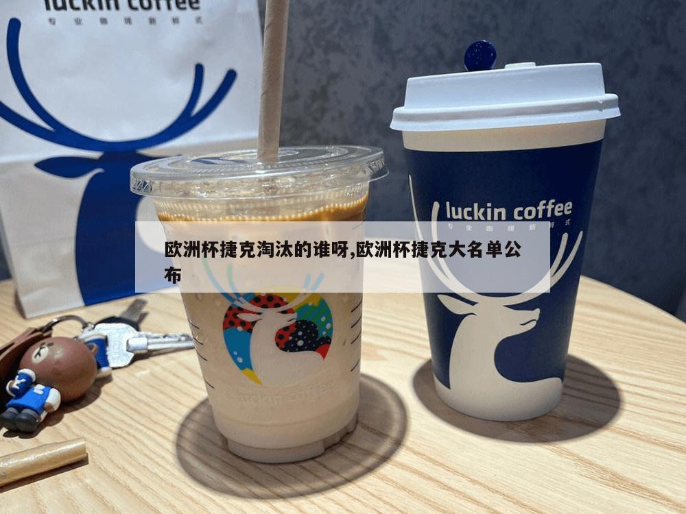 欧洲杯捷克淘汰的谁呀,欧洲杯捷克大名单公布