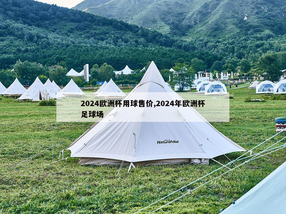 2024欧洲杯用球售价,2024年欧洲杯足球场