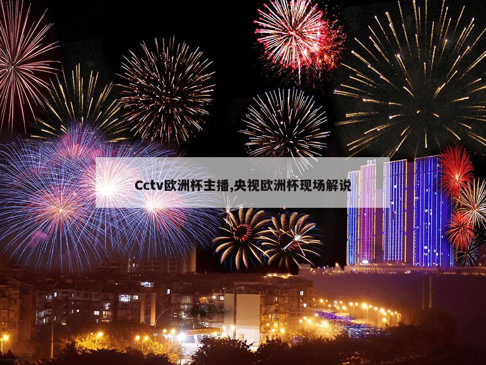 Cctv欧洲杯主播,央视欧洲杯现场解说