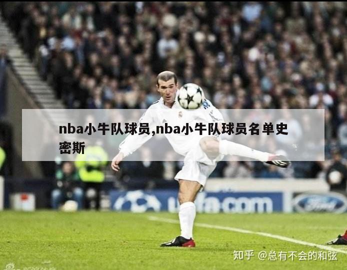 nba小牛队球员,nba小牛队球员名单史密斯