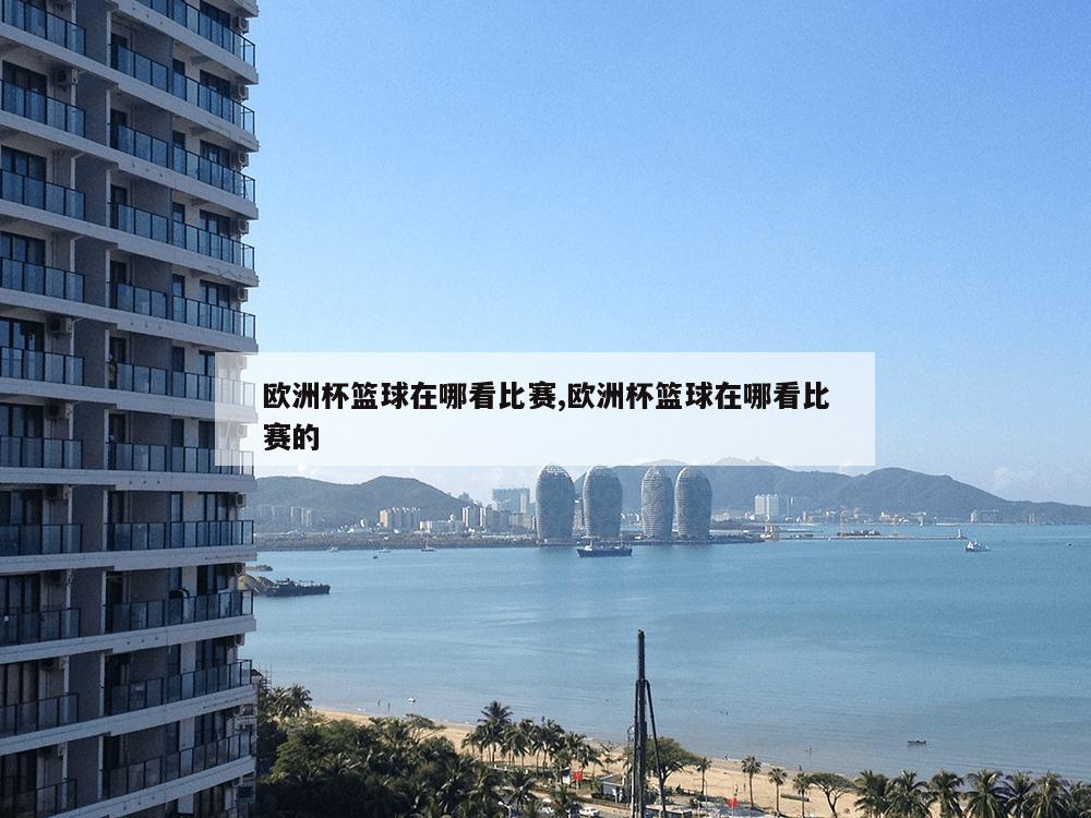 欧洲杯篮球在哪看比赛,欧洲杯篮球在哪看比赛的